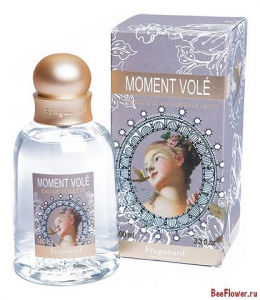 Moment Vole