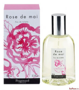Rose de Mai