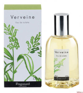 Verveine