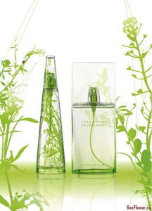 L’Eau d’Issey Pour Homme Summer L’ ete 2007