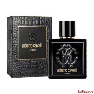 Roberto Cavalli Uomo