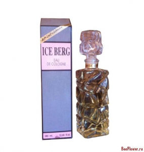 Iceberg