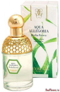 Aqua Allegoria Herba Fresca