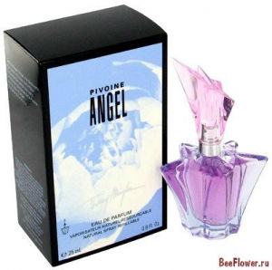 Angel Pivoine