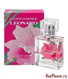 L’Orchidee