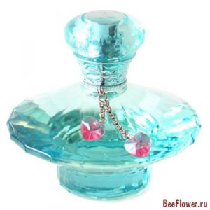 Curious Britney Spears