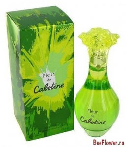 Fleur de Cabotine
