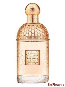 Aqua Allegoria Rosa Blanca